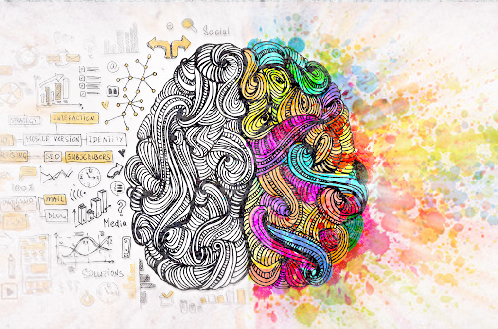 Brain illustration creative and logical.